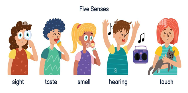 Five Senses